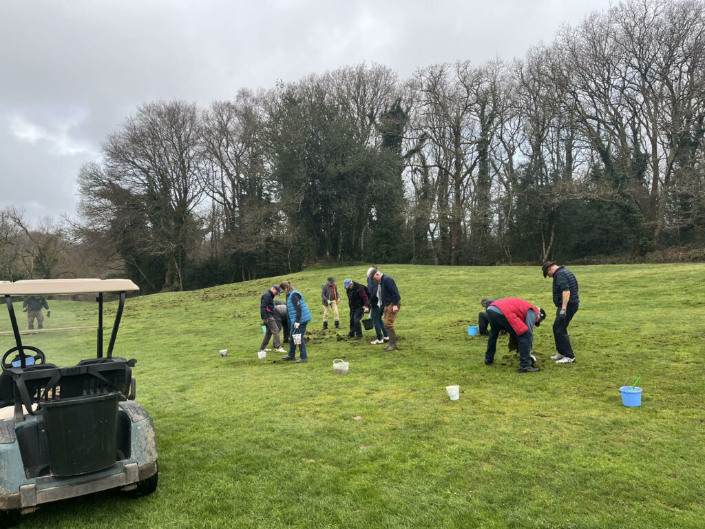 Photo_rebouchage_divot (5)