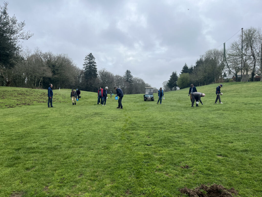 Photo_rebouchage_divot (6)